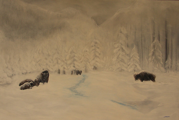 bison in winter