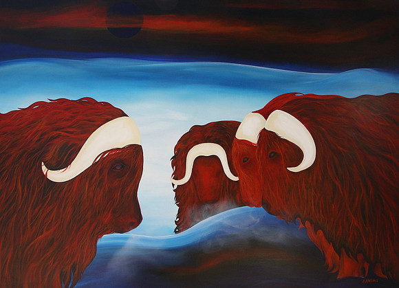 muskox group