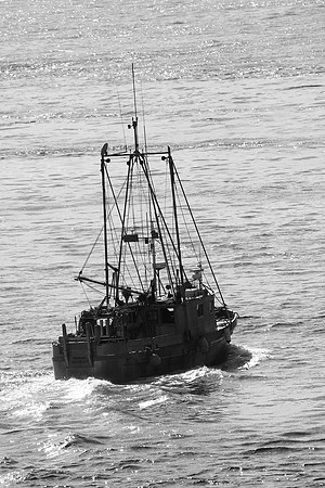 J00207
