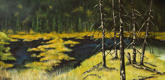 south of williams lake  #1  15 x 30
