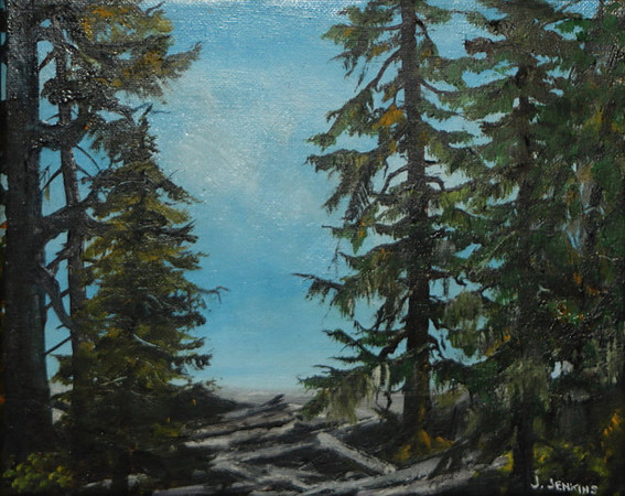 juan de fuca trail 8x10 inches