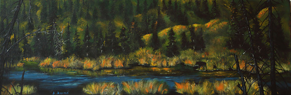 south of williiams lake #2  12 x 36