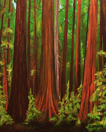 edinburgh main - 11x14 inches These magnificent old trees were logged 2018.