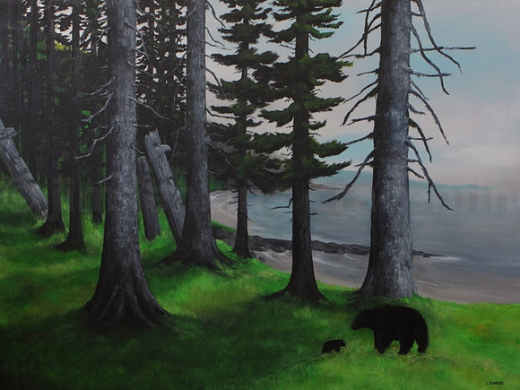 haida gwaii black bear - 36x48 inches