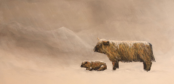 highland cattle  - 18 x 36 inches