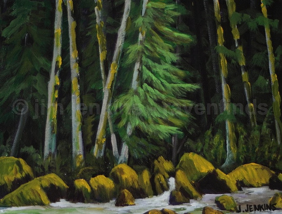 wolf creek cedar    8 x 10 inches