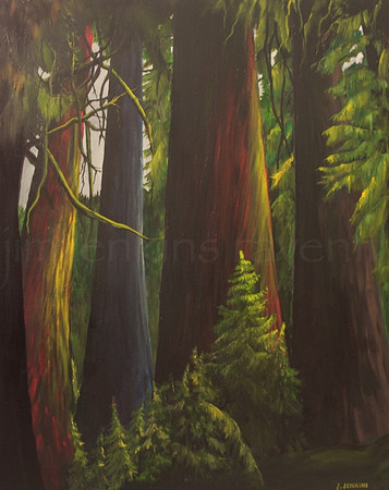 giants of the forest 24x30 inches
