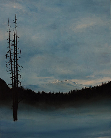 paradise meadows 16x20 inches