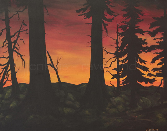 stoney hill park 16x20