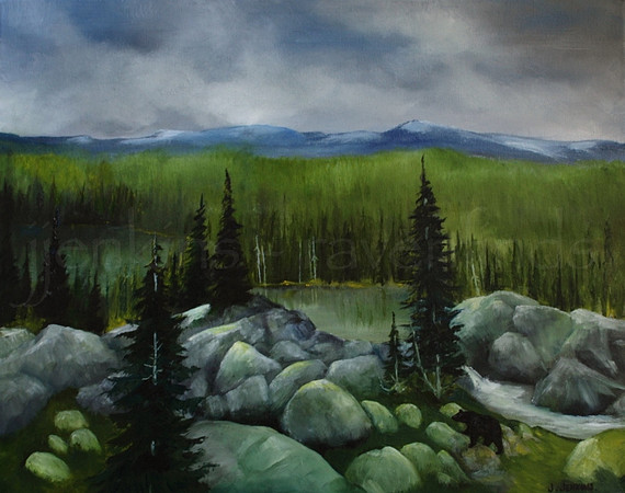 central vancouver island  16x20 inches - oil