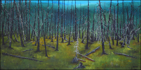 new growth 18x36 inches