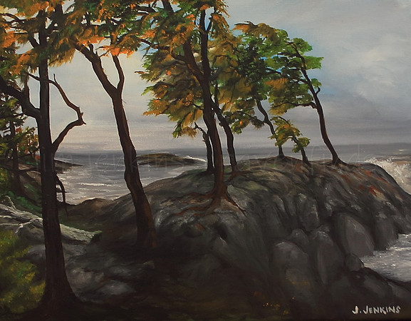 east sooke park  11x14 inches