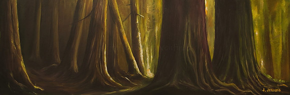 carmanah 12x36 inches