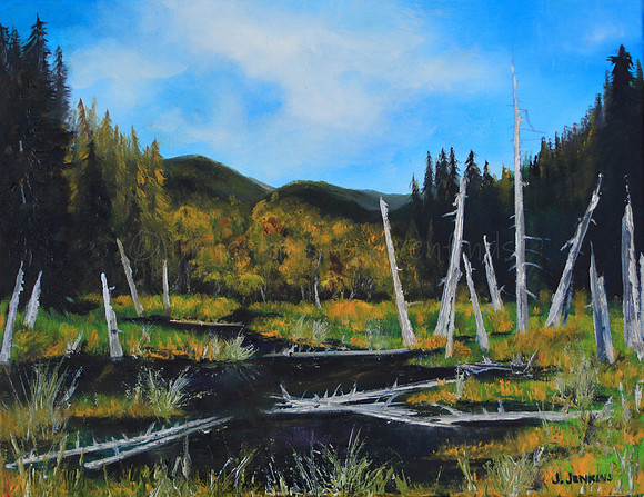 beaver pond at cowichan lake 11x14  inches
