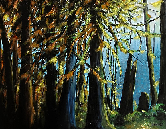 trail on the cowichan river   11x14 inches