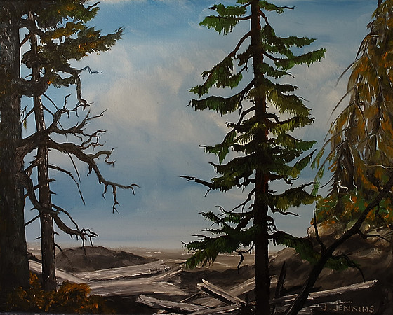juan de fuca trail  8 x 10  inches