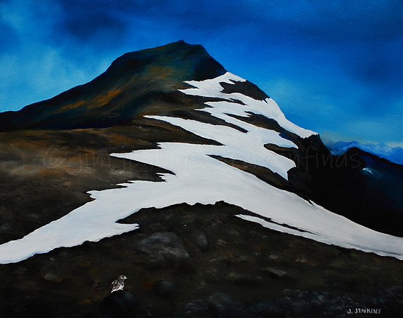 ptarmigan at mt. albert edward   16 x 20 inches