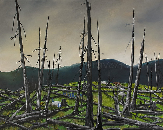 after the burn  16 x 20 inches