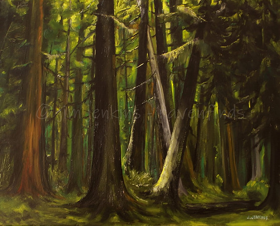 mesachie forest 16 x 20  inches