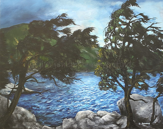 cowichan lake 16 x 20  inches