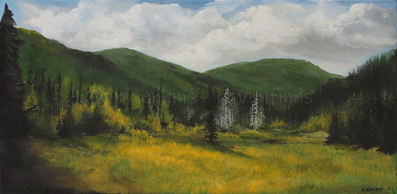 robertson meadow  10 x 20 inches