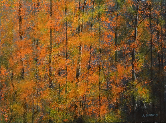fall on the atnarko 9x12 inches