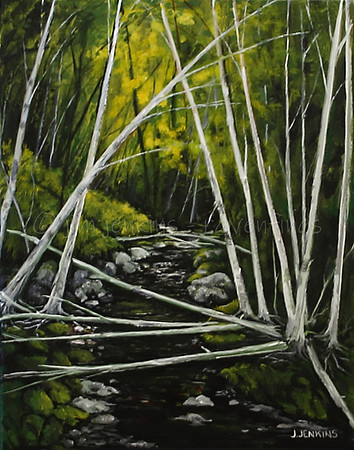 19 creek  11x14 inches