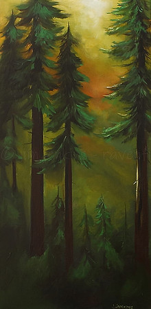 near lizard lake 12x24