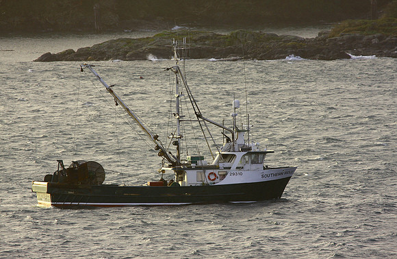 J00484