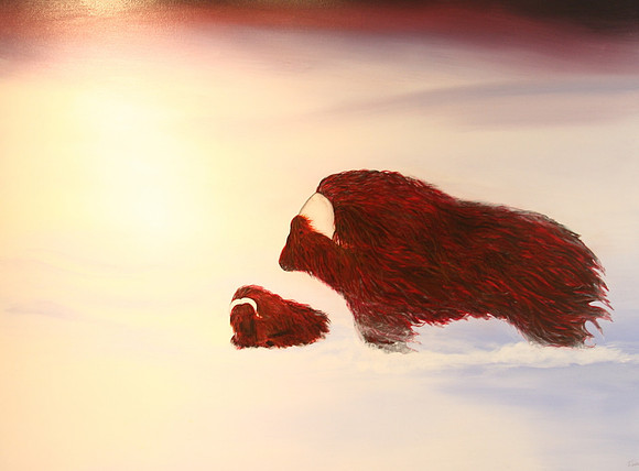 musk ox -cow and calf