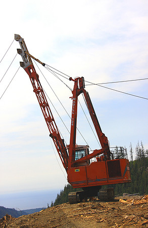 J00439