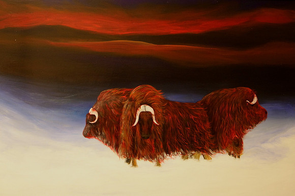 musk ox - four  - 24 x 36 inches